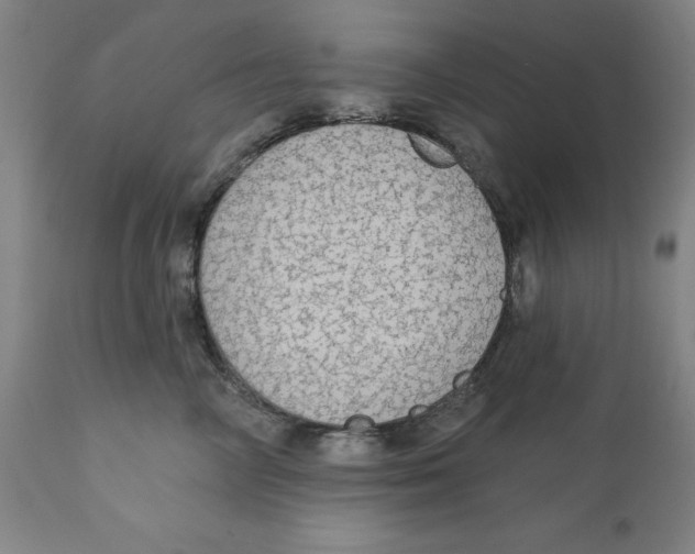 X0000111910714200908241026