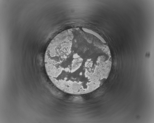 X0000111910715200908241026