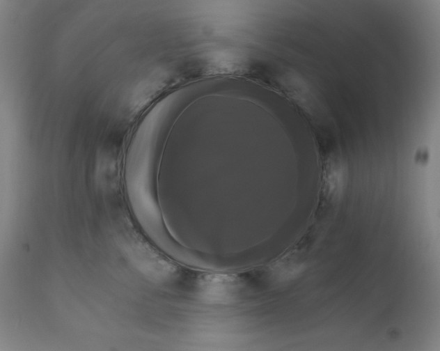 X0000111910716200908241026