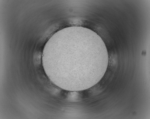 X0000111910717200908241026