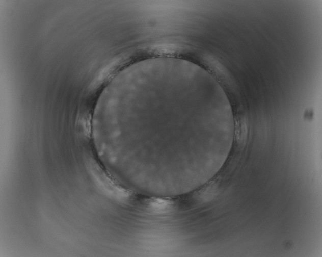 X0000111910718200908241026