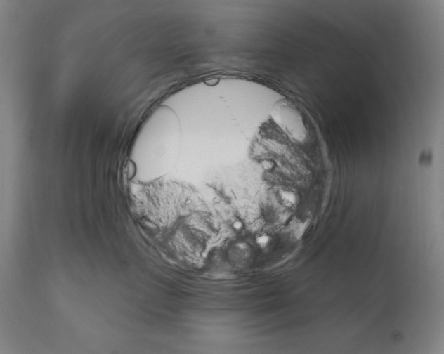 X0000111910719200908241026