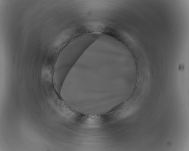 X0000111910720200908241026