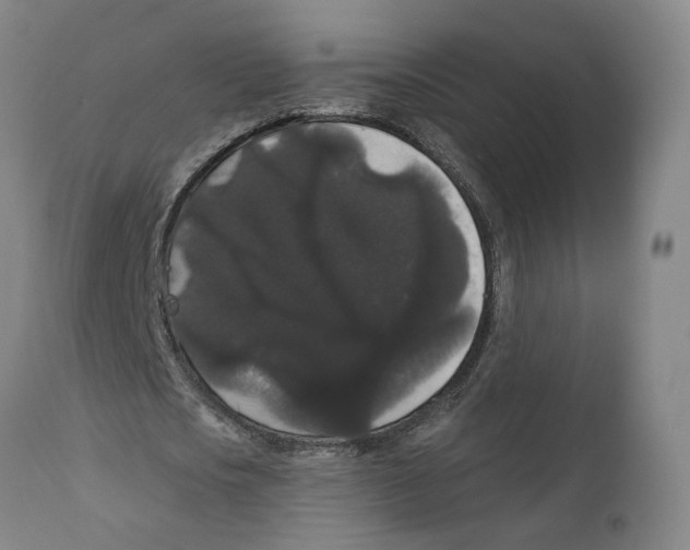 X0000111910721200908241026