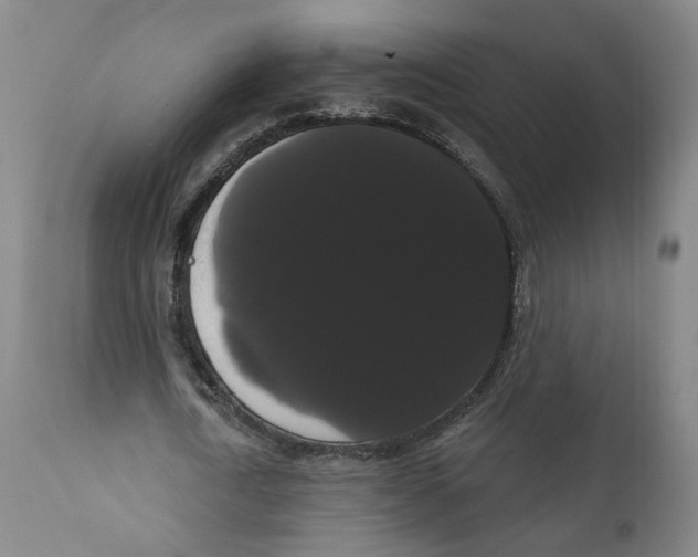 X0000111910722200908241026