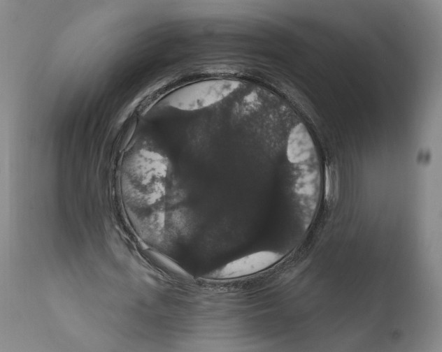 X0000111910723200908241026