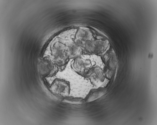 X0000111910725200908241026