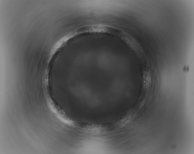 X0000111910726200908241026