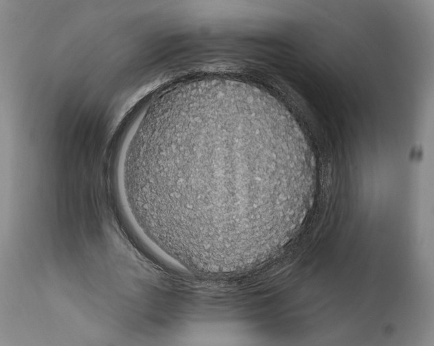 X0000111910727200908241026