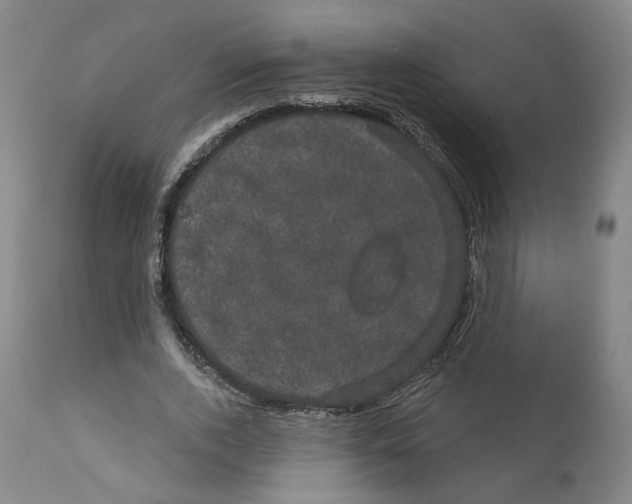 X0000111910728200908241026