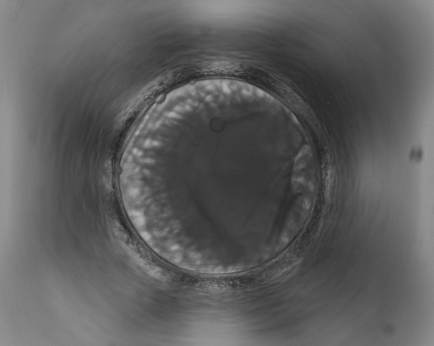 X0000111910729200908241026
