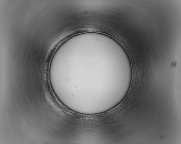 X0000111910730200908241026