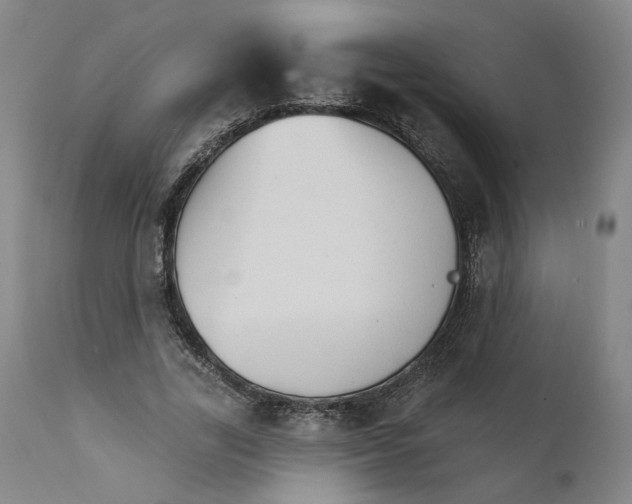 X0000111910731200908241026