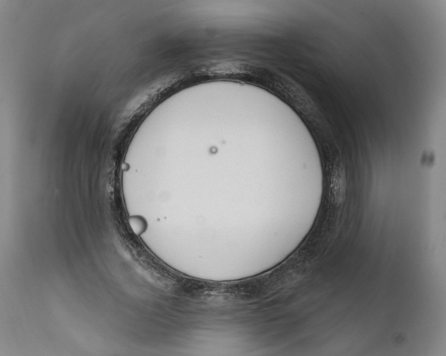 X0000111910732200908241026