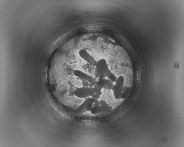 X0000111910733200908241026
