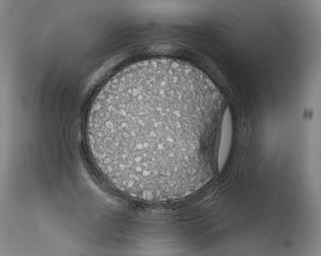 X0000111910734200908241026