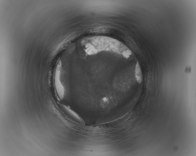 X0000111910735200908241026