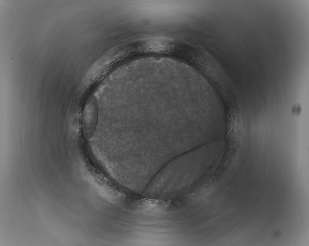X0000111910736200908241026