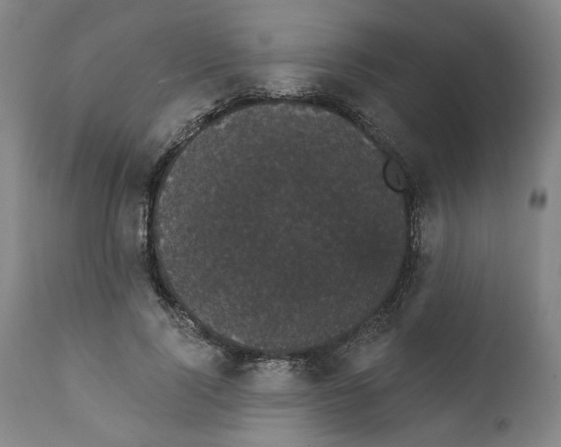 X0000111910740200908241026