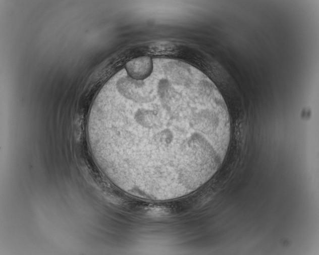X0000111910741200908241026