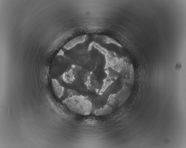 X0000111910742200908241026