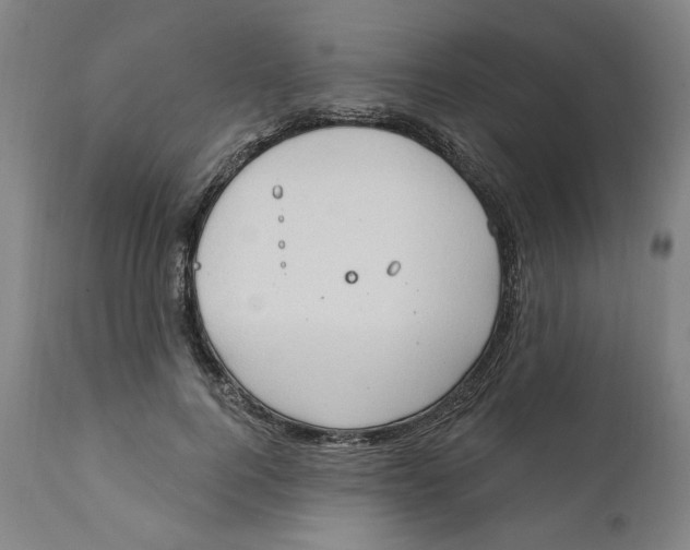 X0000111910744200908241026