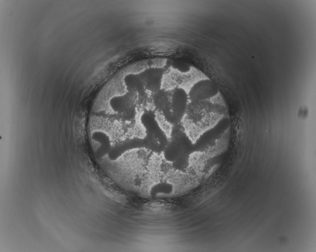 X0000111910745200908241026