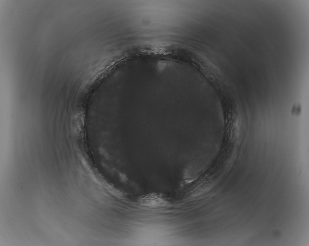 X0000111910747200908241026