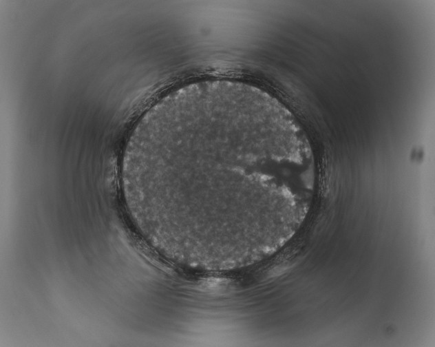 X0000111910748200908241026