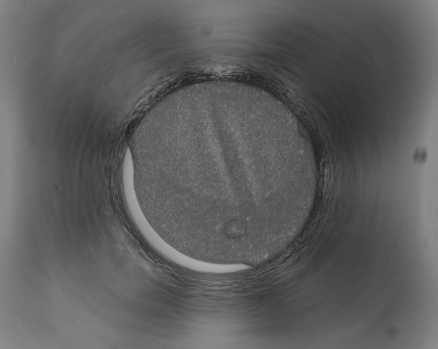 X0000111910750200908241026