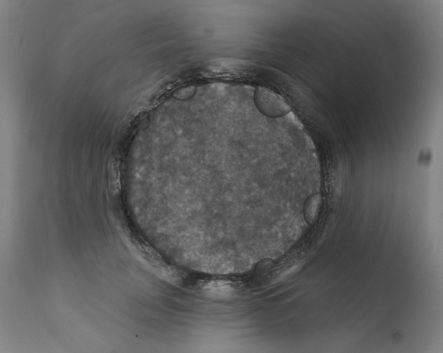 X0000111910751200908241026