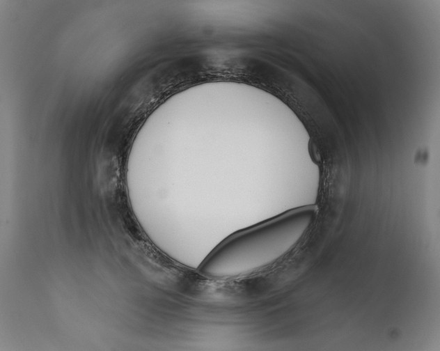 X0000111910752200908241026