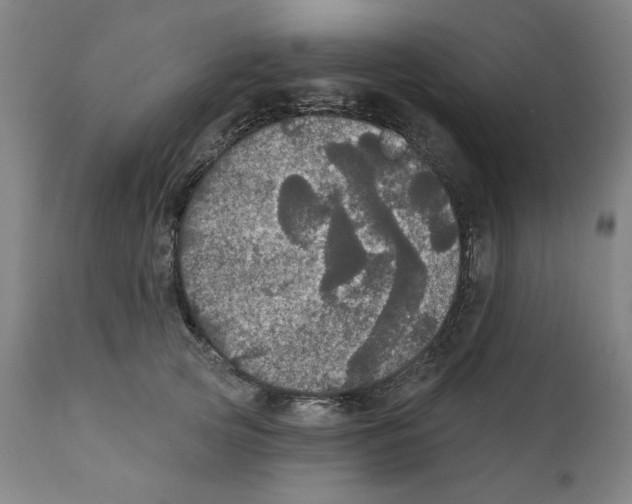 X0000111910753200908241026