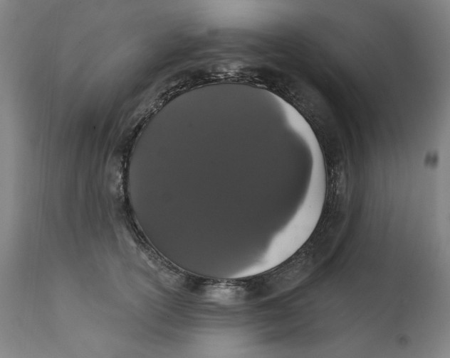 X0000111910754200908241026