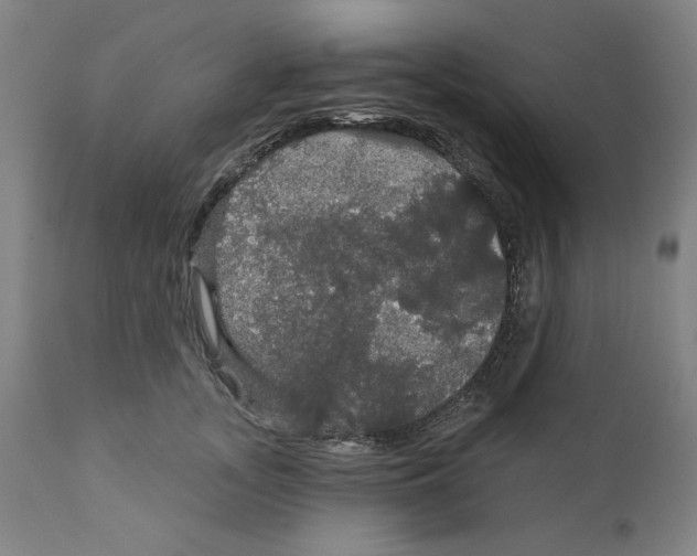 X0000111910755200908241026