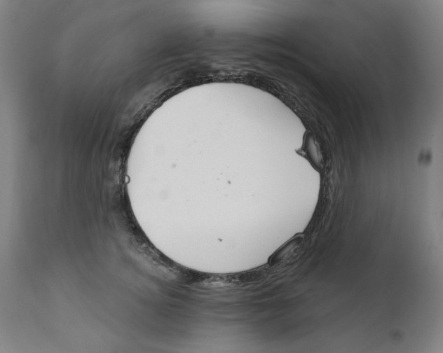 X0000111910756200908241026