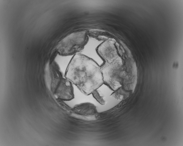 X0000111910757200908241026