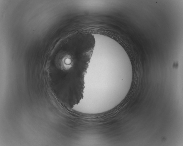 X0000111910758200908241026