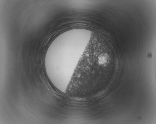 X0000111910759200908241026