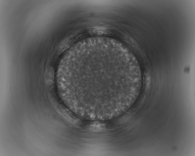 X0000111910760200908241026