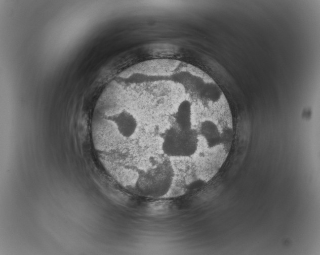 X0000111910761200908241026