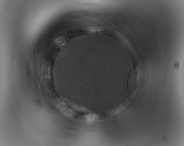 X0000111910762200908241026