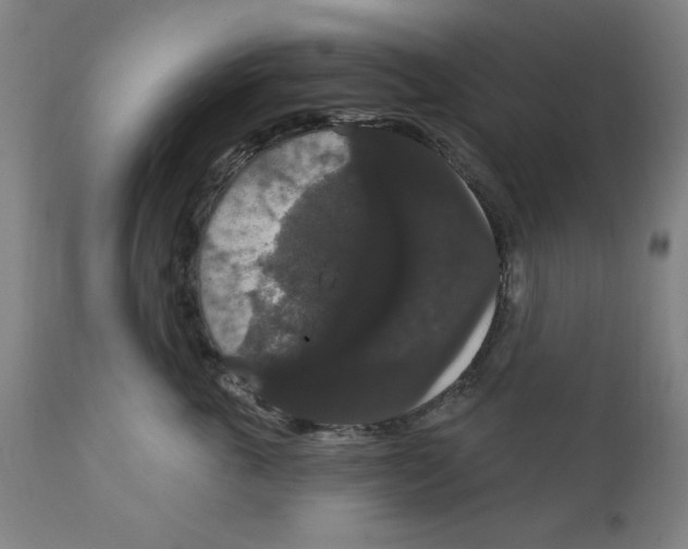 X0000111910763200908241026