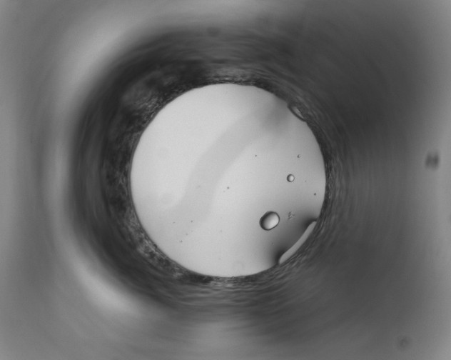 X0000111910764200908241026