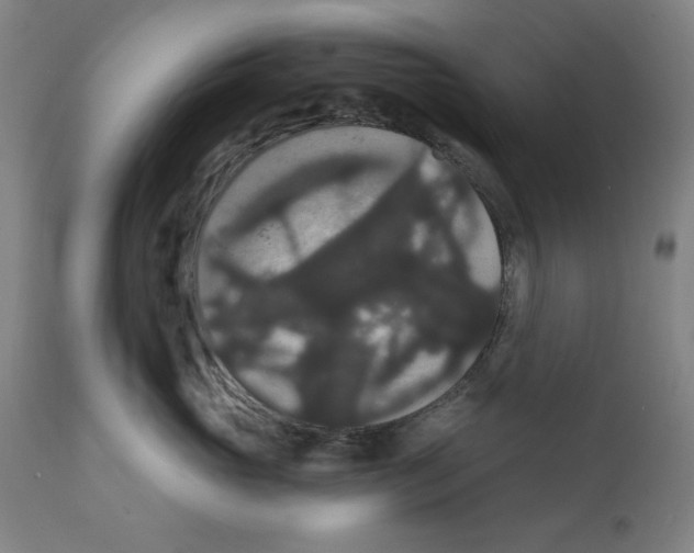 X0000111910765200908241026