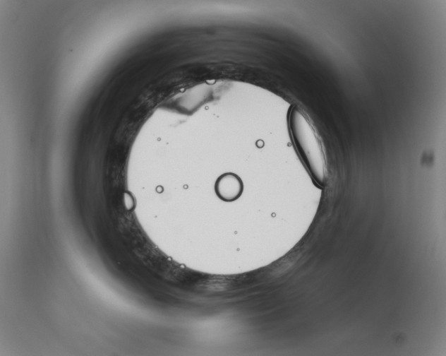 X0000111910766200908241026