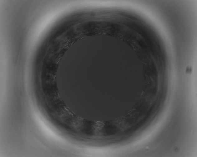 X0000111910767200908241026