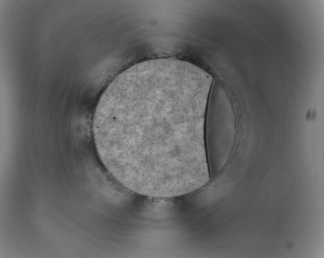X0000111910768200908241026