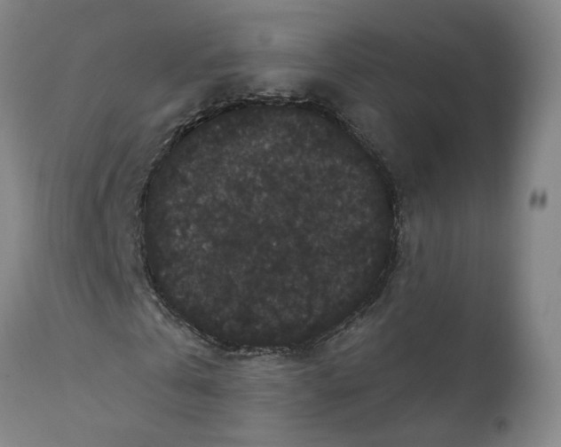 X0000111910769200908241026