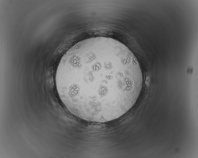 X0000111910771200908241026